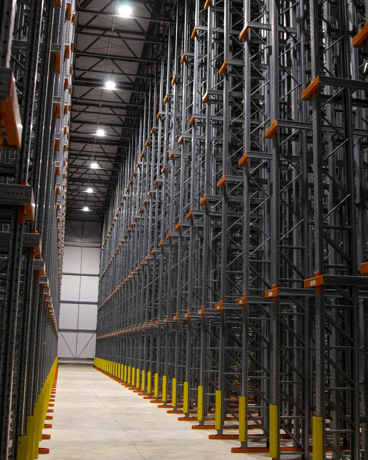 Inside the cold storage room, with multi-level racks