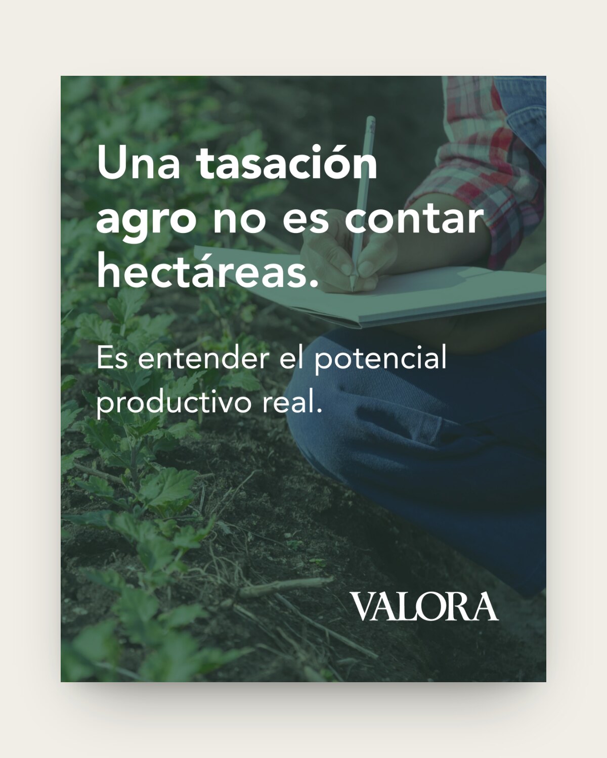 Posteo: «Una tasación agro no es contar hectáreas. Es entender el potencial productivo real.»